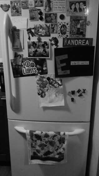 Fridge