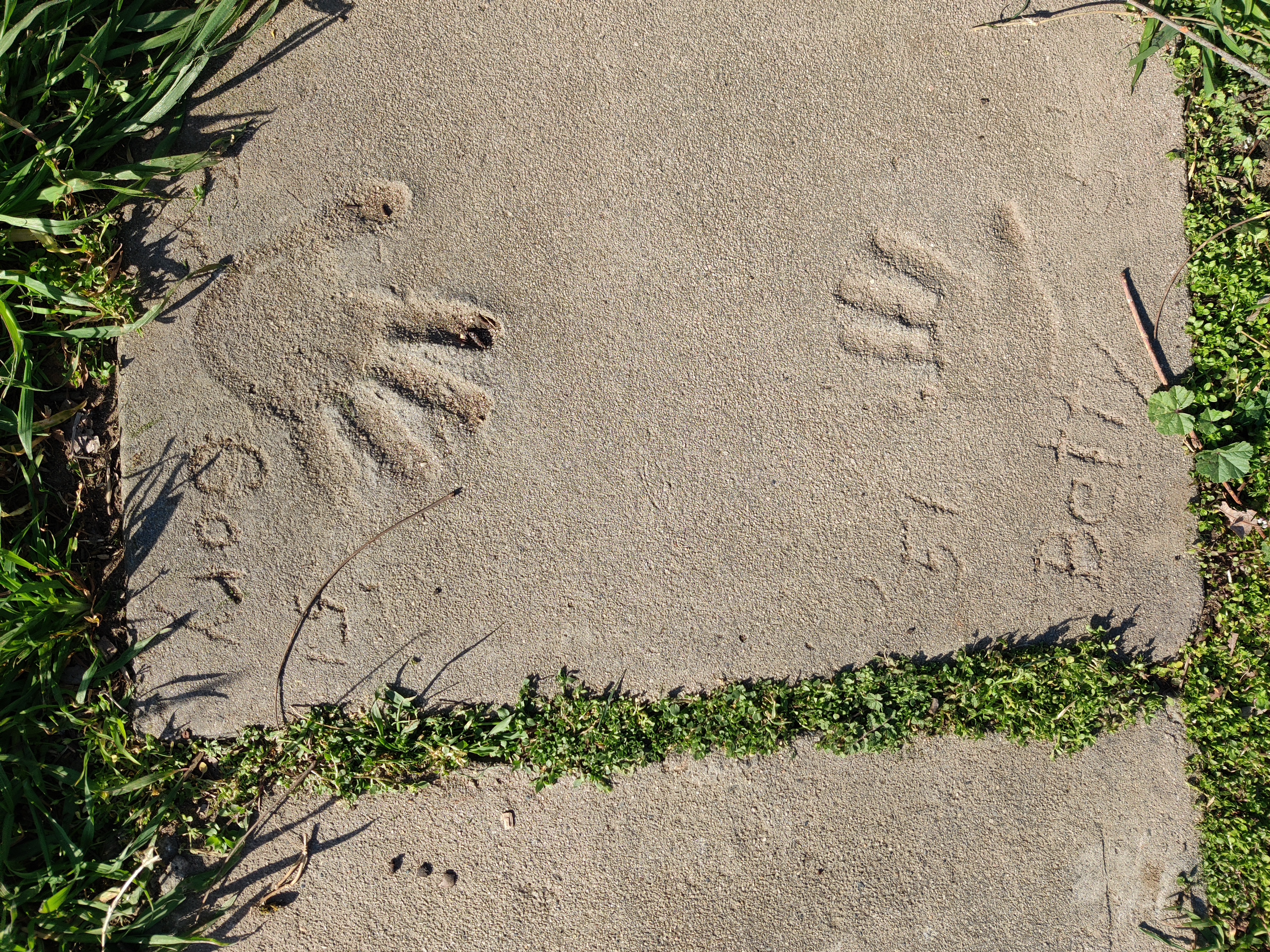Gary and Betty handprints